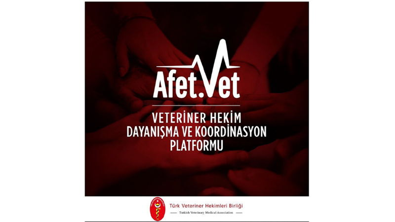 DEPREMDEN ETKİLENENLER İÇİN UZUN VADELİ YARDIM OLARAK NELER YAPILABİLİR?