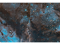 LIKE A BLUE SWAN: OMEGA NEBULAS