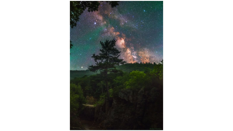 FIREFLIES AND MILKY WAY IN THE SAME FRAME!