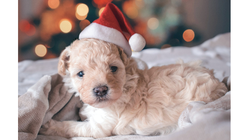 2022 YILININ SON SEZGİ TESTİNİ YAPALIM!