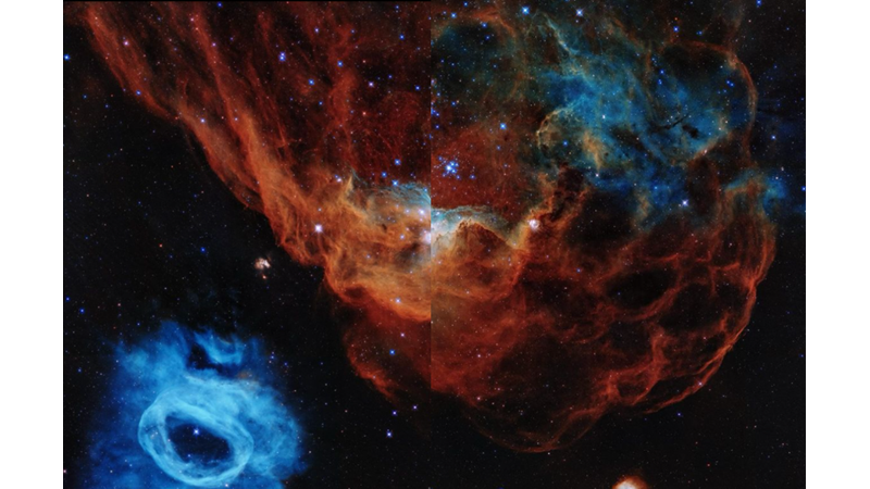 A COSMIC REEF IN THE CONSTELLATION DORADO