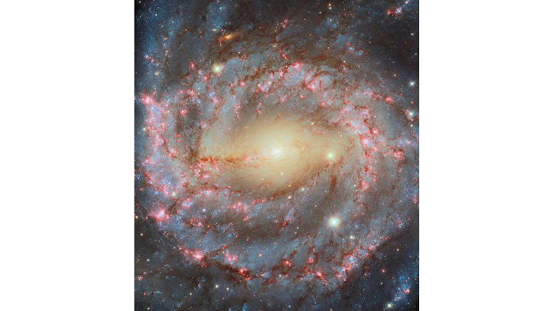 LARGE SPIRAL GALAXY: NGC 5643