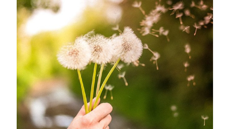 HAPŞIR HAPŞIR BİR HAL OLUNAN BAHAR ALERJİSİNDEN KORUNMANIN YOLLARI -Friendz10