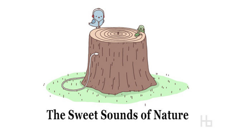 ILLUSTRATIONS TO MAKE YOU SMILE -Friendz10