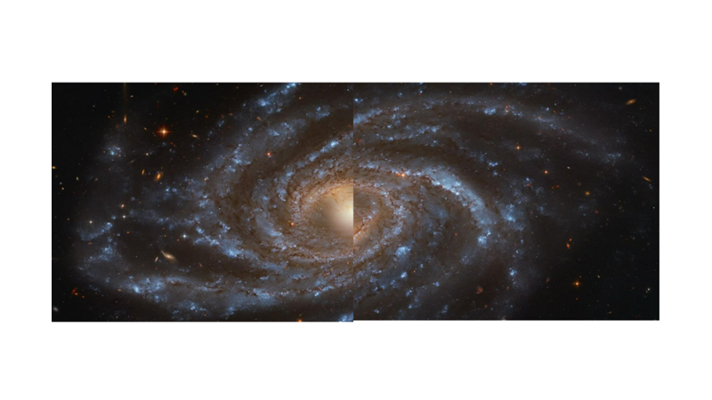 FROM BLUE TO RED ON THE JOURNEY OF LIFE: The CAMELOPARDALIS CONSTELLATION -Friendz10
