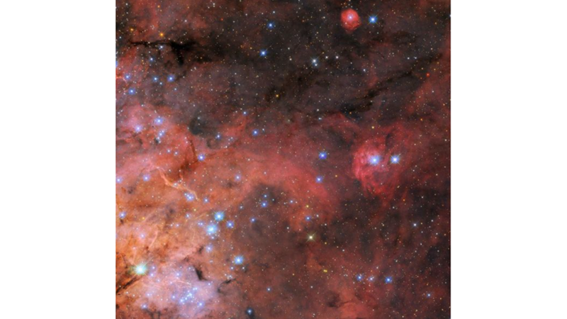 GÖRMEK İSTEYECEĞİMİZ TEK ÖRÜMCEK: TARANTULA NEBULASI