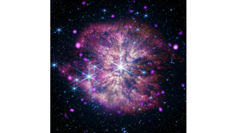 PARLAMADAN ÖNCE BAZEN ÇİÇEK AÇMAK GEREKİR: WR 124