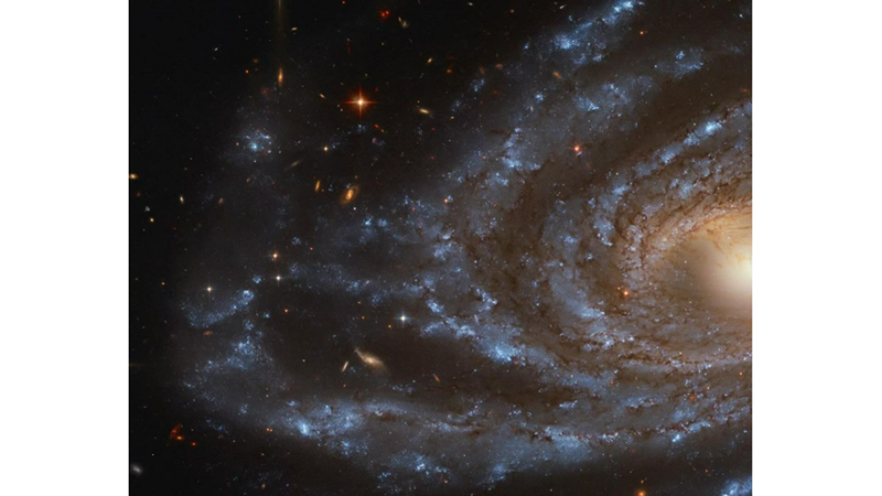 FROM BLUE TO RED ON THE JOURNEY OF LIFE: The CAMELOPARDALIS CONSTELLATION -Friendz10
