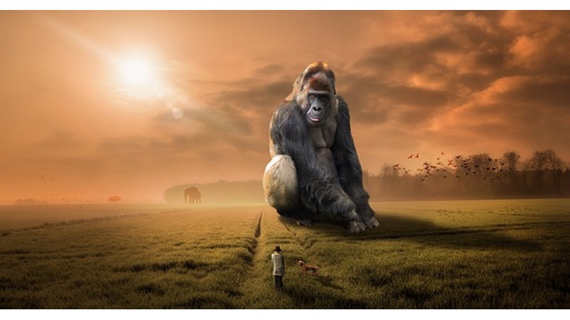 Devlerin Sıkıntıları