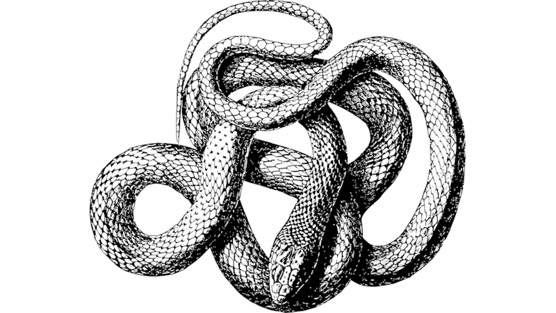 Kültürel İnanç Sembolü: Yılan (X)