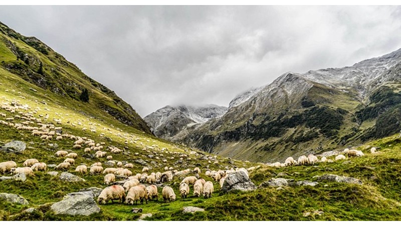 RAVİKA (VI) - Friendz10