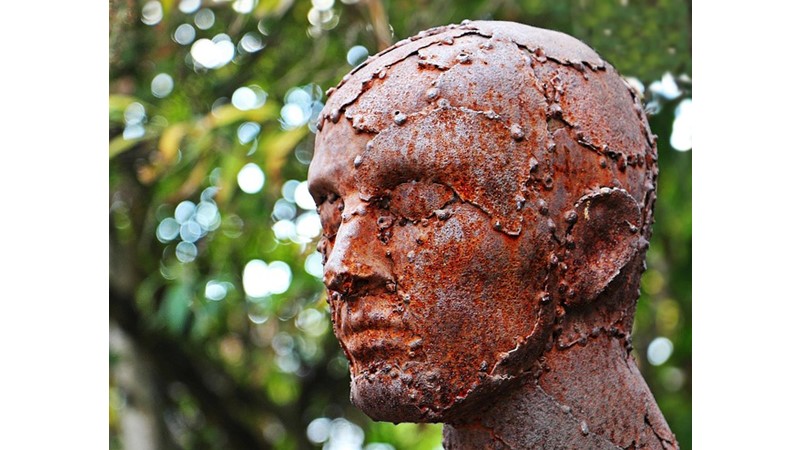 İnsanın İnsan Olması: Düşünebilmek