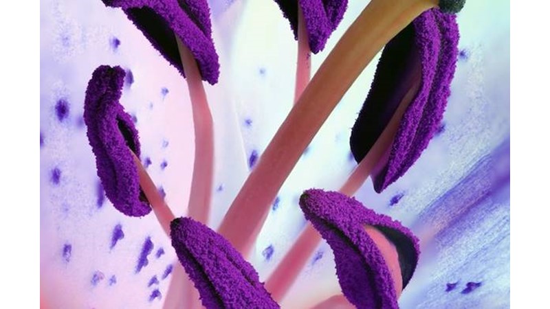 Detaylı İş Yapmak – Friendz10