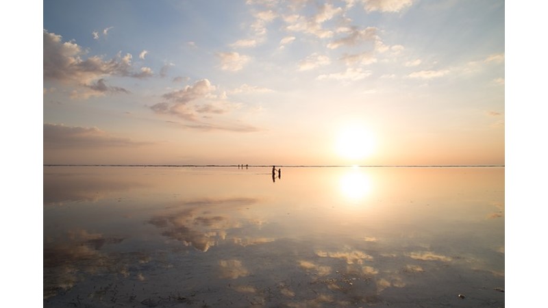 Su Kirliliği ve Su Kaynakları (VII)