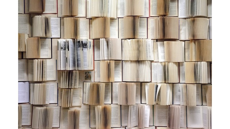 Audrey Hepburn Vakası : ÇERKES EDHEM'İN ÖZÜR MEKTUBU