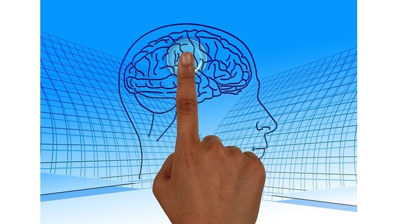 Belleğim Neden Böyle?