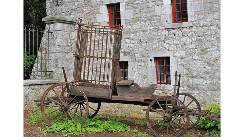 Cellatlar ve Yaşamları