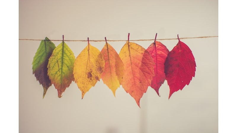 İnsanın Özünün Değişmemesi