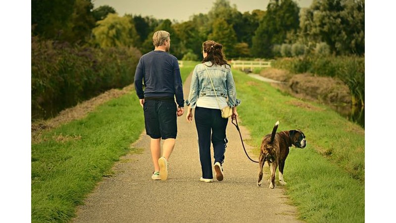 Mutluluk Salgılayalım (IV)