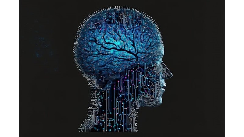 Beyin ve Dalga Boyları