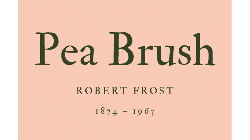 PEA BRUSH - ROBERT FROST