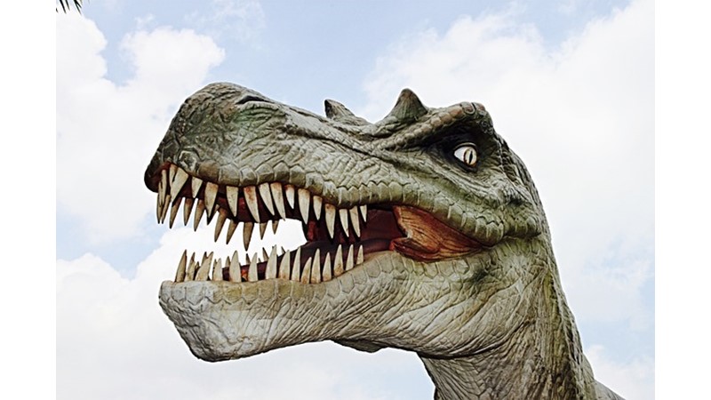 Dinozor Yumurtaları (V) – Friendz10