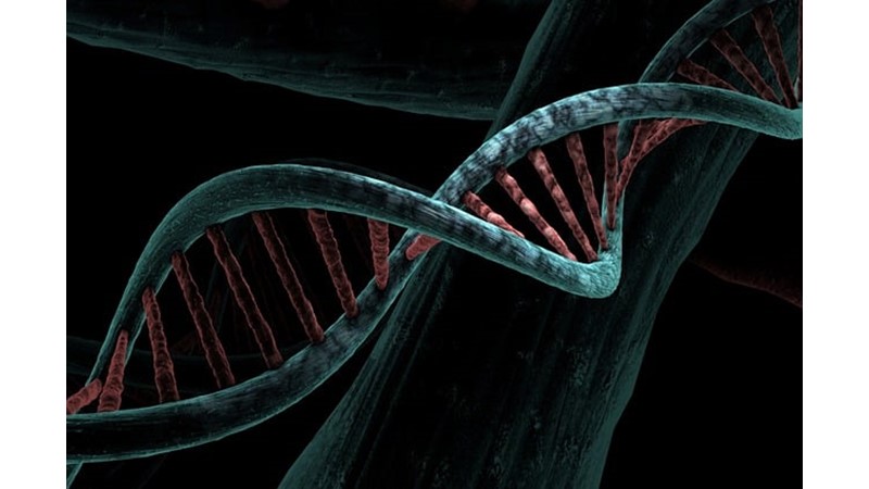 DNA’da Bilgi Depolanması