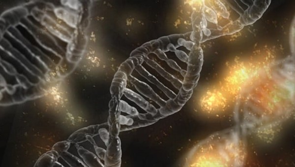 DNA’da Bilgi Depolanması