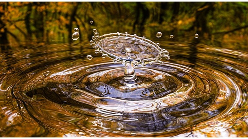 Masaru EMOTO’nun Su Deneyi (II) – Friendz10