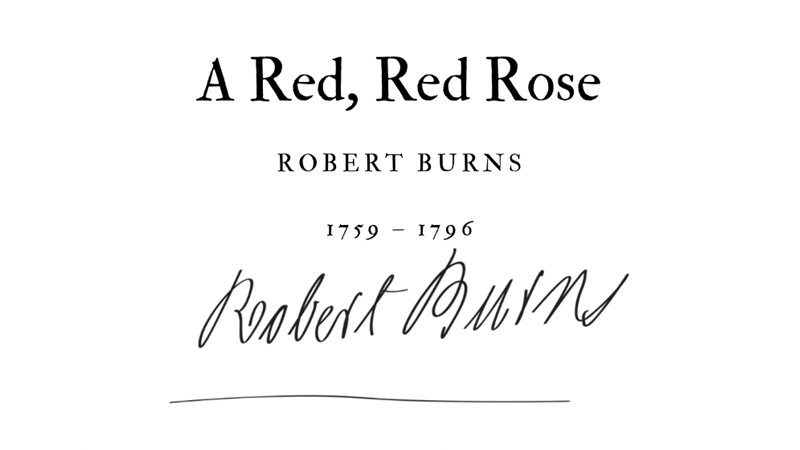 A RED, RED ROSE - ROBERT BURNS - Friendz10