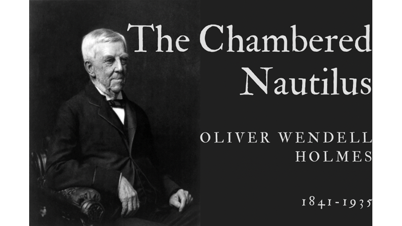 THE CHAMBERED NAUTILUS - OLIVER WENDELL HOLMES - Friendz10