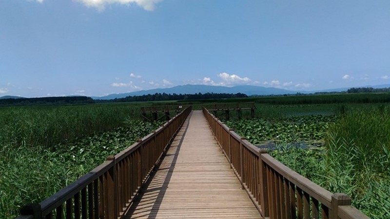 İlimizin adı nereden geliyor? ARDAHAN, DÜZCE