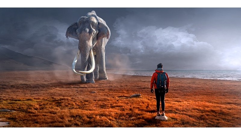 İri Cüsseli Olmanın Zorlukları