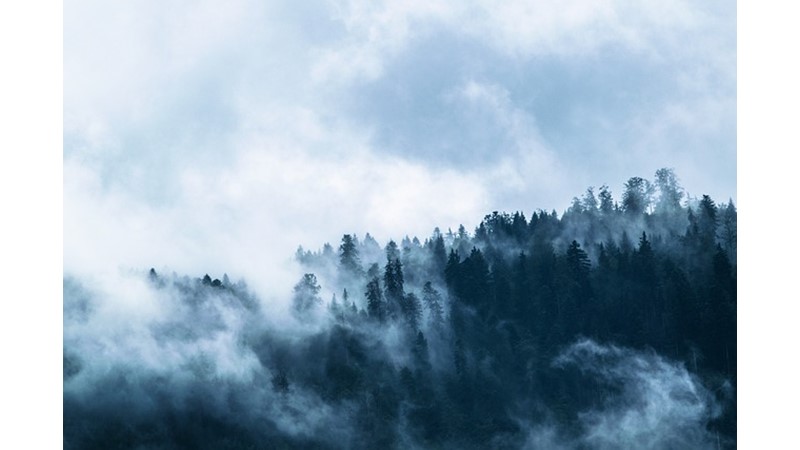 TARİH BOYUNCA TÜM IRKLAR TÜRKLER’İ  NASIL GÖRDÜLER (XII)– Friendz10