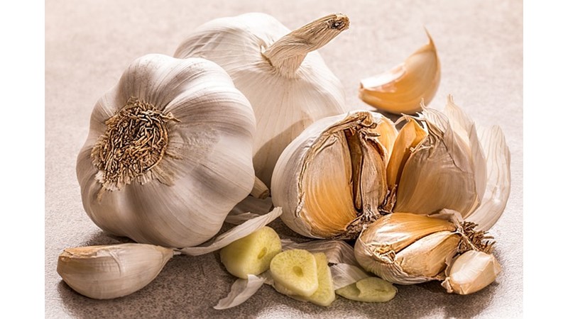 Veba Salgını ve Sarımsak