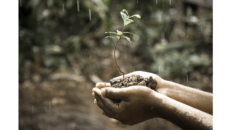 Kavram Karmaşaları