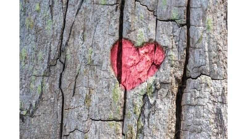 İlişki Bazlı Ödül Ceza