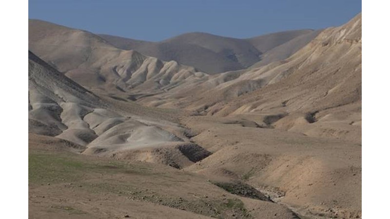 Selçuklu Ordusu