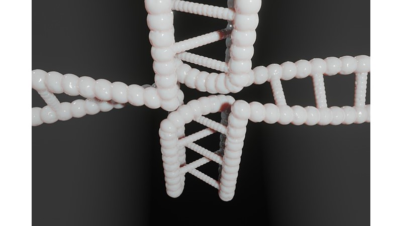 Ölümün Şifresi – Telomer (II)