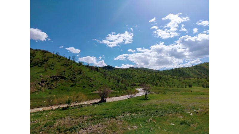 İlimizin adı nereden geliyor? ŞIRNAK