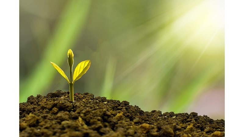 Başarı Adamlarının Zorluğu