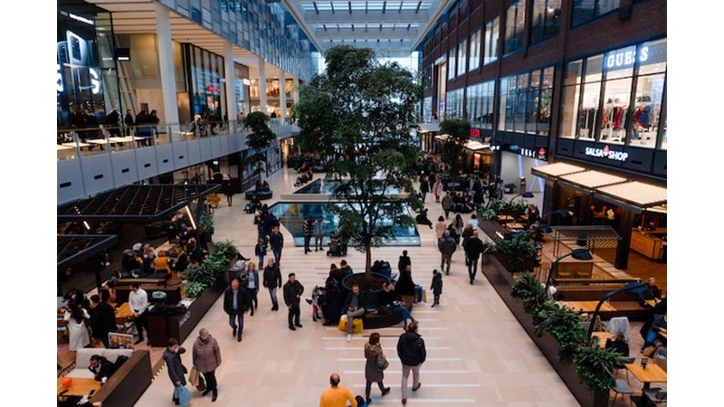 Çok Zengin İnsanların Şirketlerini Olumsuz Yönlendirmesi – Friendz10