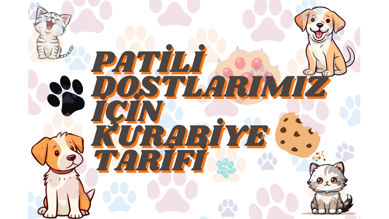 PATİLİ DOSTLARIMIZA KURABİYE YAPIYORUZ -Friendz10