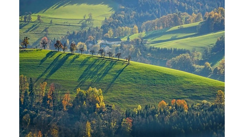 RAVİKA (III) - Friendz10