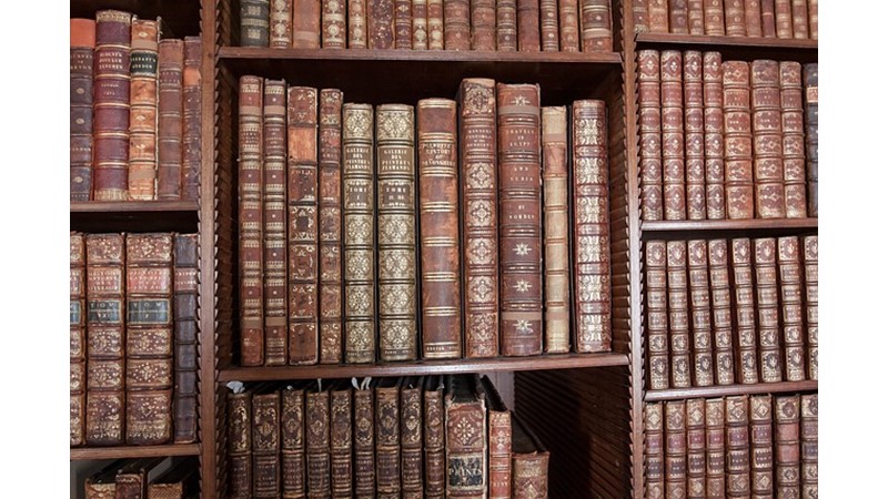 Audrey Hepburn Vakası