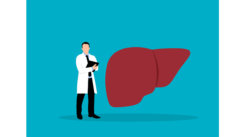 Laboratuvar İmalatı İlk İnsan Karaciğeri