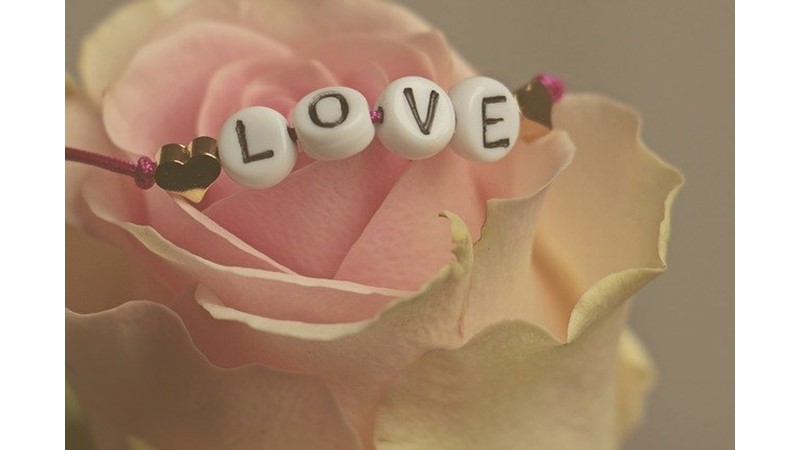 Mutluluk Salgılayalım (IV)