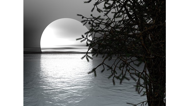 Denizlerin Lordları Vikingler ve Gemicilik (IV)