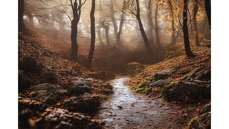 Osmanlı ve Türkmenler