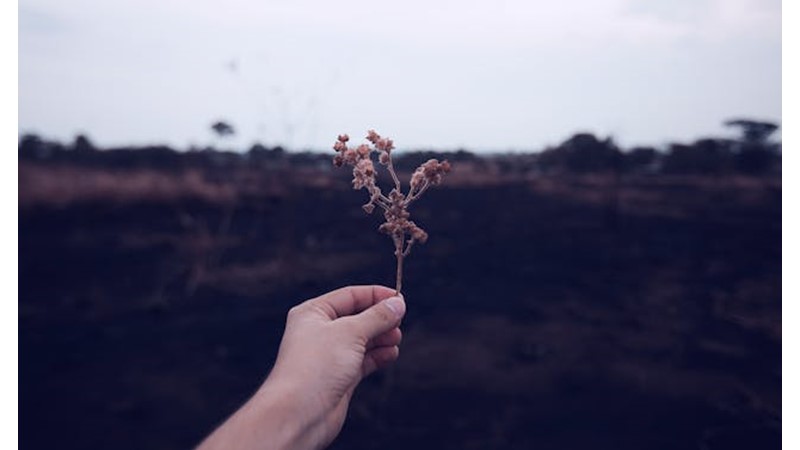 Bazı Durumlar İnsanı Hayata Bağlar
